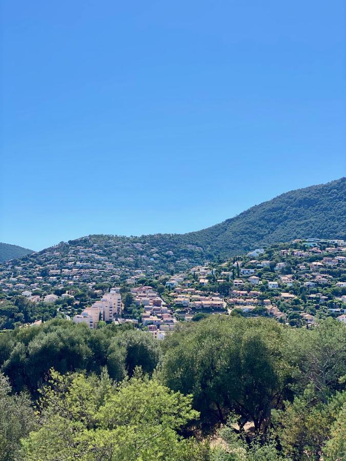 Appartement Mimosas - Bel Avec Vue Imprenable Sur La Baie